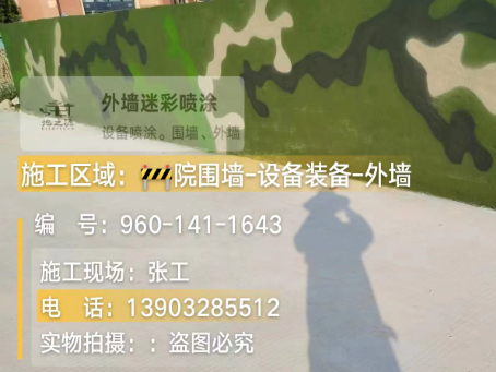 海西 迷彩漆喷涂价格（按平方米计费）
