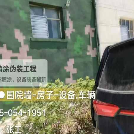 海西数码迷彩漆施工